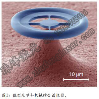 微型光学和机械结合谐振器