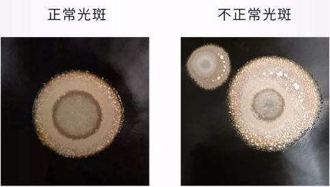 图文详解万瓦激光切割机工作前检测事项