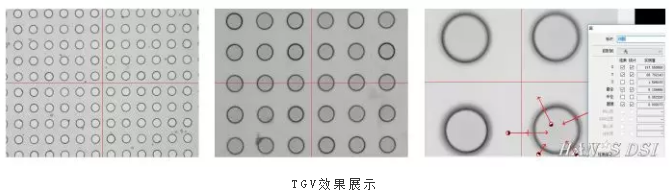 TGV效果展示