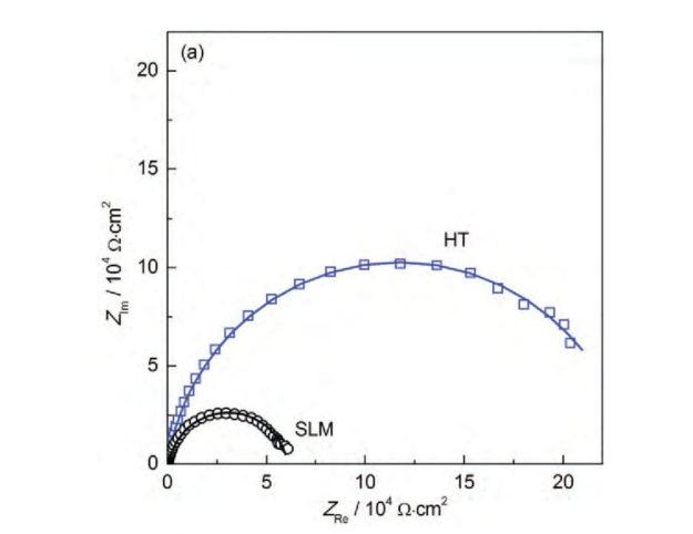 图5 SLM态及HT态Ti6Al4V合金在0.6V（vs SCE）下极化1 h后的 Nyquist图，Bode图以及拟合所用的等效电路图