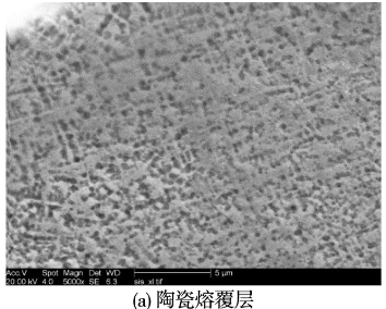 图11 SiC陶瓷熔覆层的横截面显微组织组织