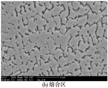 图11 SiC陶瓷熔覆层的横截面显微组织组织