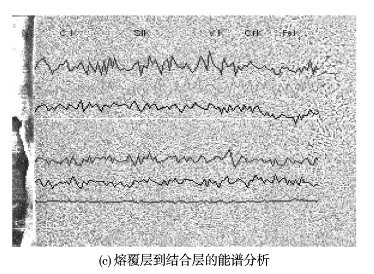 图12 熔覆层的能谱分析结果