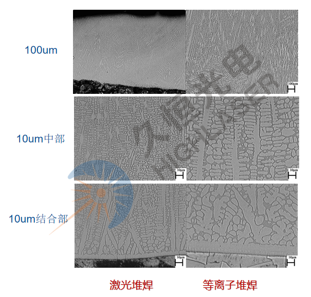 图2    钴基合金激光熔覆层与等离子堆焊的显微组织比对